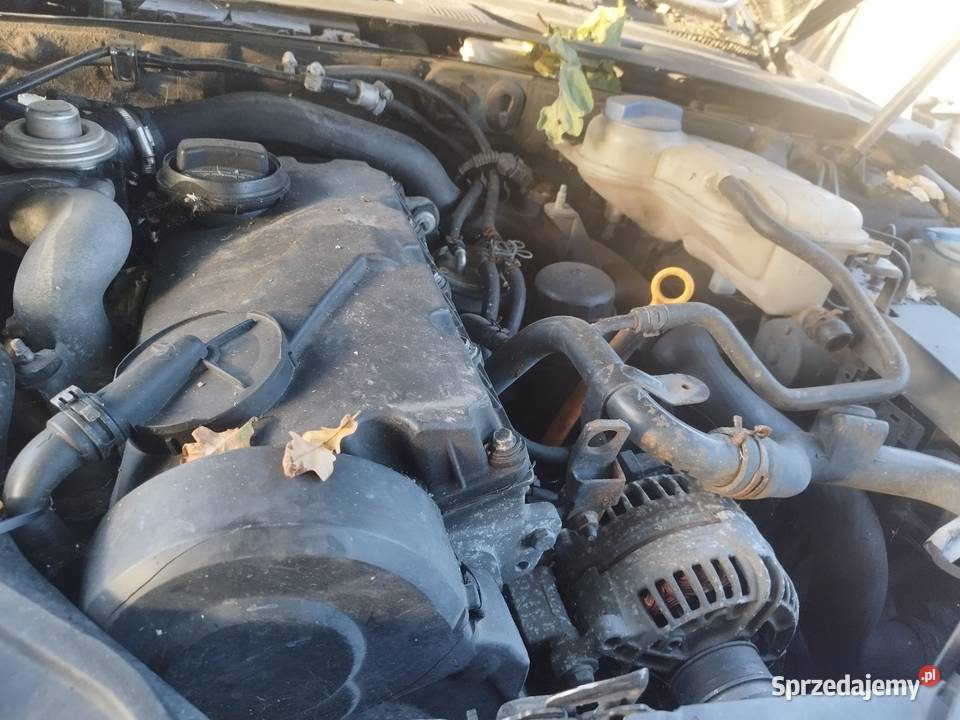 Silnik 19 TDI AVF AVB AWX ASZ ARL AUY AJM BVK Silniki kompletne Zamość