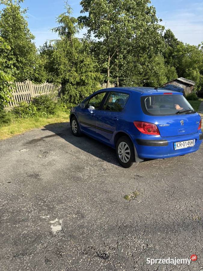 Peugeot 307 XR 14 8V 2002r
