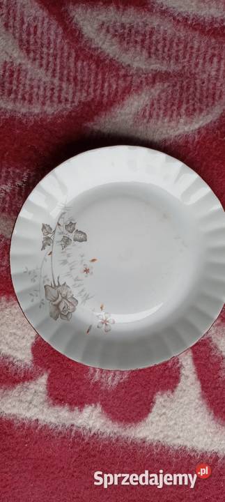Talerze porcelana Chodzież Porcelana i szkło Gniezno