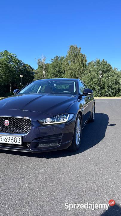 Jaguar XE diesel wielkopolskie Krotoszyn