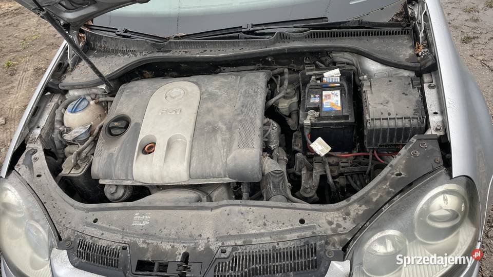 Vw Golf V 16 FSI BLP HBM LA7W Na Części Piotrków Trybunalski