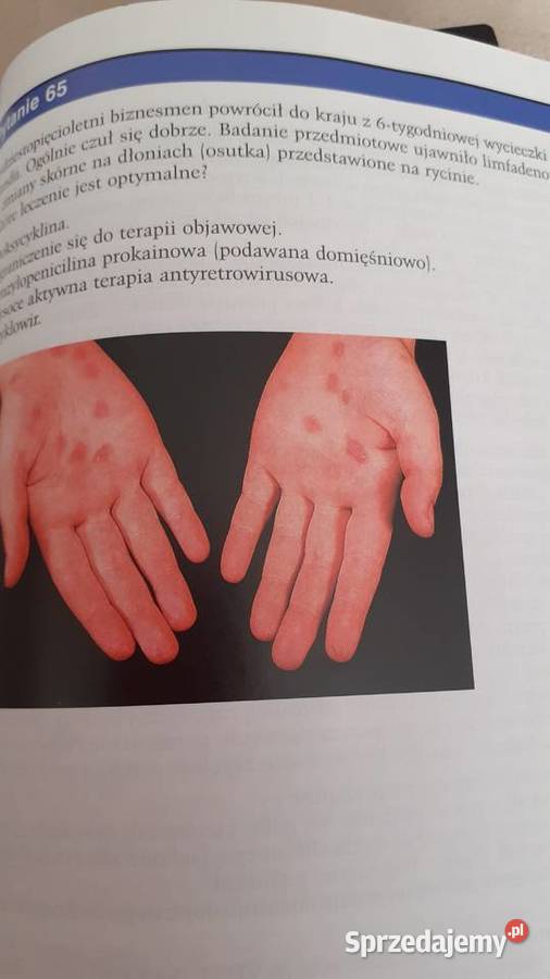 Przygotowanie do praktycznych egzamów zachodniopomorskie Szczecin