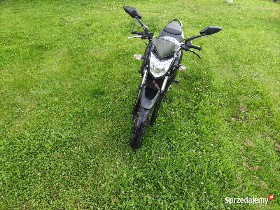 SYM Wolf SB 125 Ni Super Motor 2018r 125cm3 Kartuzy