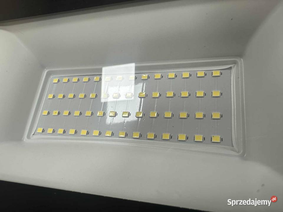 Naświetlacz Lampa LED Partnersite LLS050ALK 50W Elbląg