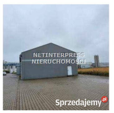 Lokal 43737m2 Strzelin
