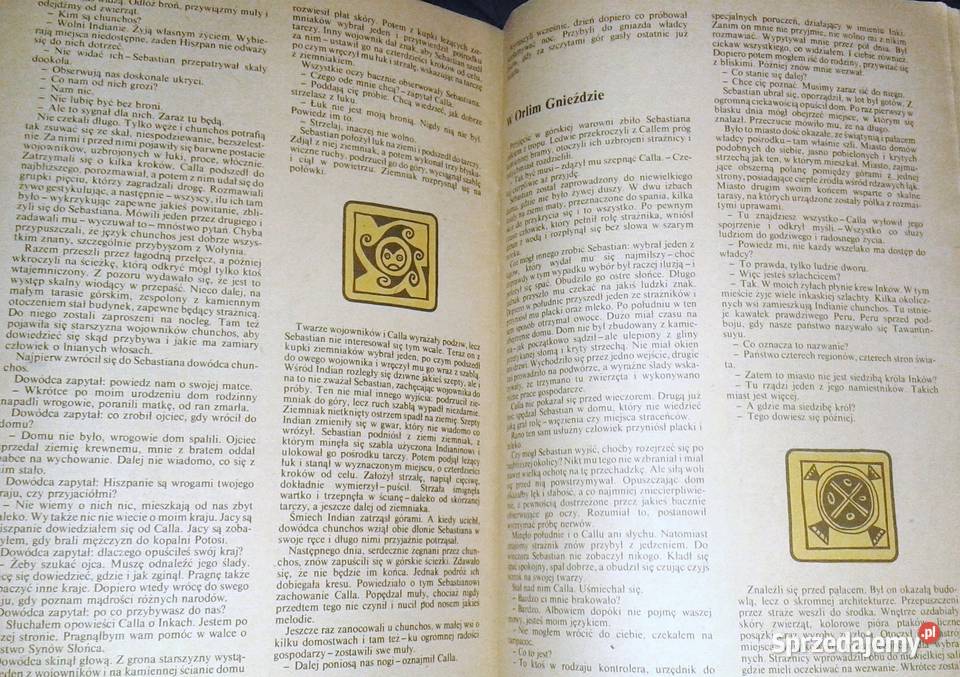 Spadek synach Słońca Aleksander Rowiński Chełm