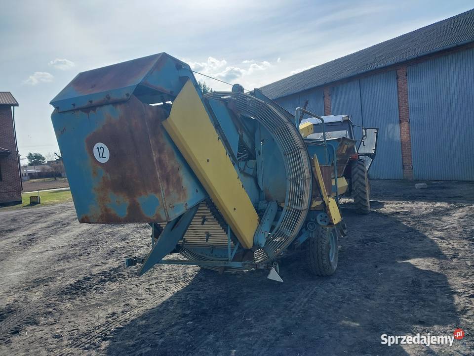 Anna nieuszkodzony Wilczopole-Kolonia