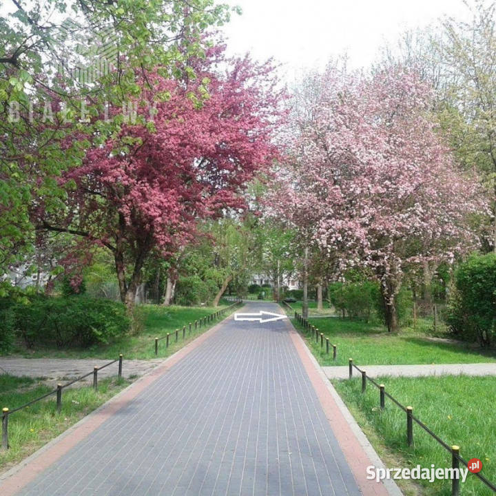 Mieszkanie Warszawa 474m2 3pokojowe Liczba pokoi 3 mazowieckie