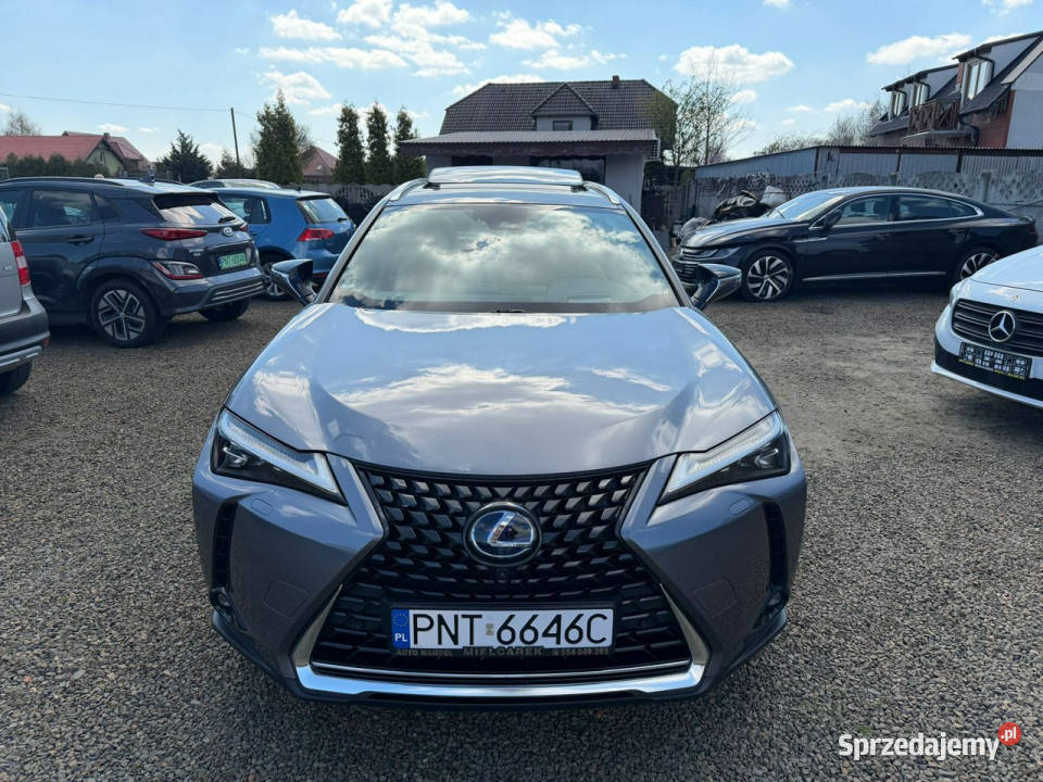 Lexus UX Hybryda automat gwarancja 80 światła do jazdy dziennej Zbąszyń