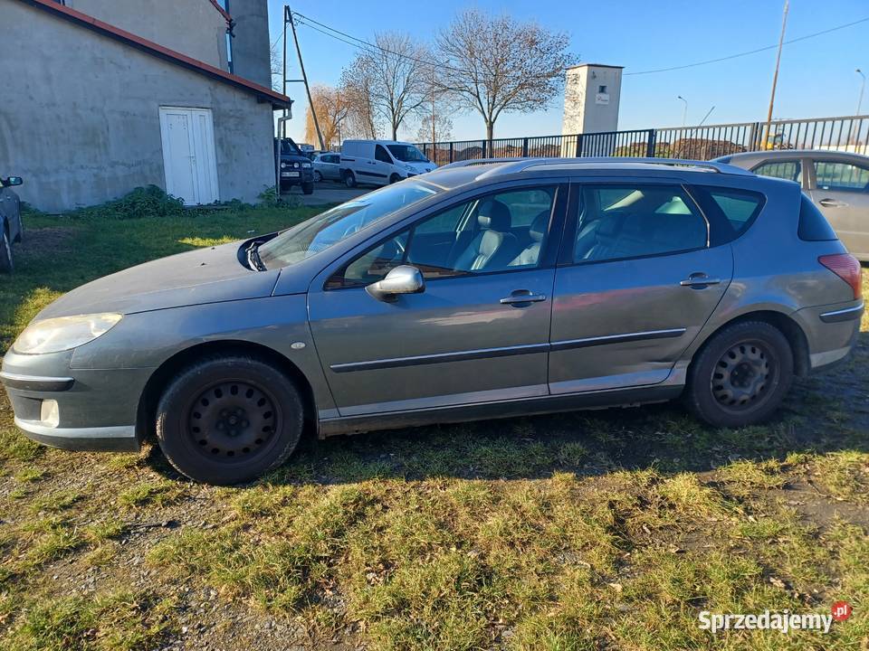 PEUGEOT 407 combi 2007 Wilczyce