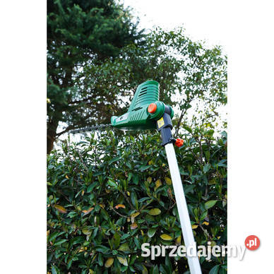 Noźyce do źywopłotu małopolskie