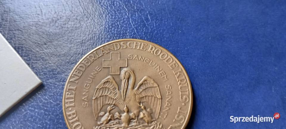 Stare monety Medal Holandia 129 Malarstwo