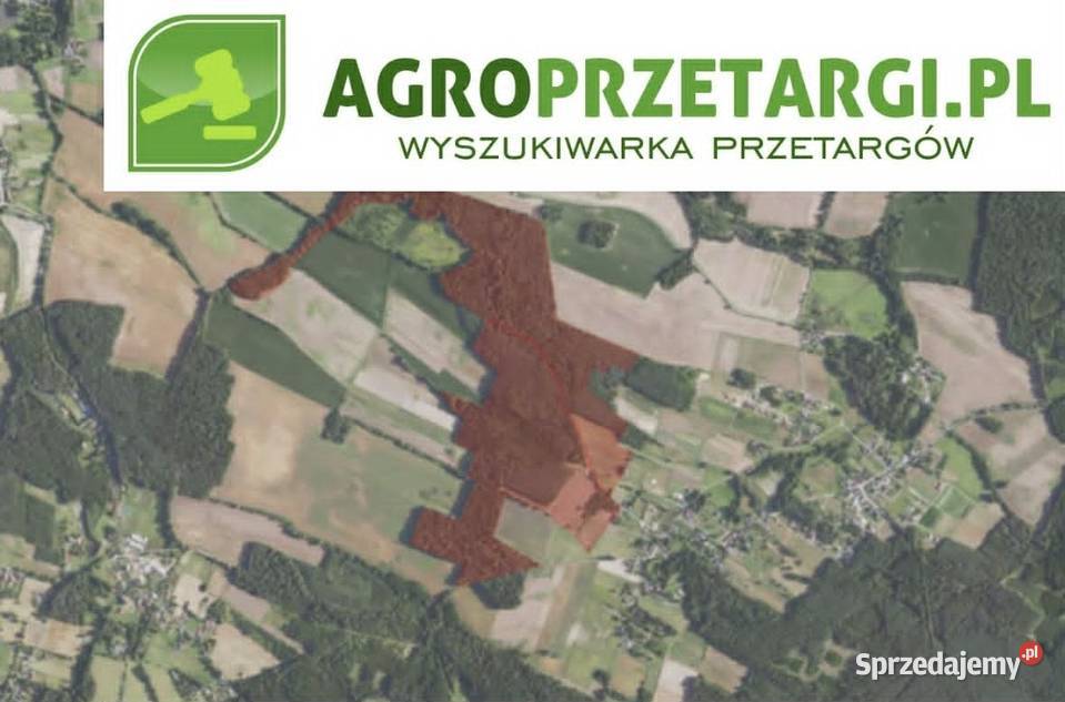 Dzierżawa 1739 ha gruntu rolnego Trzebnica
