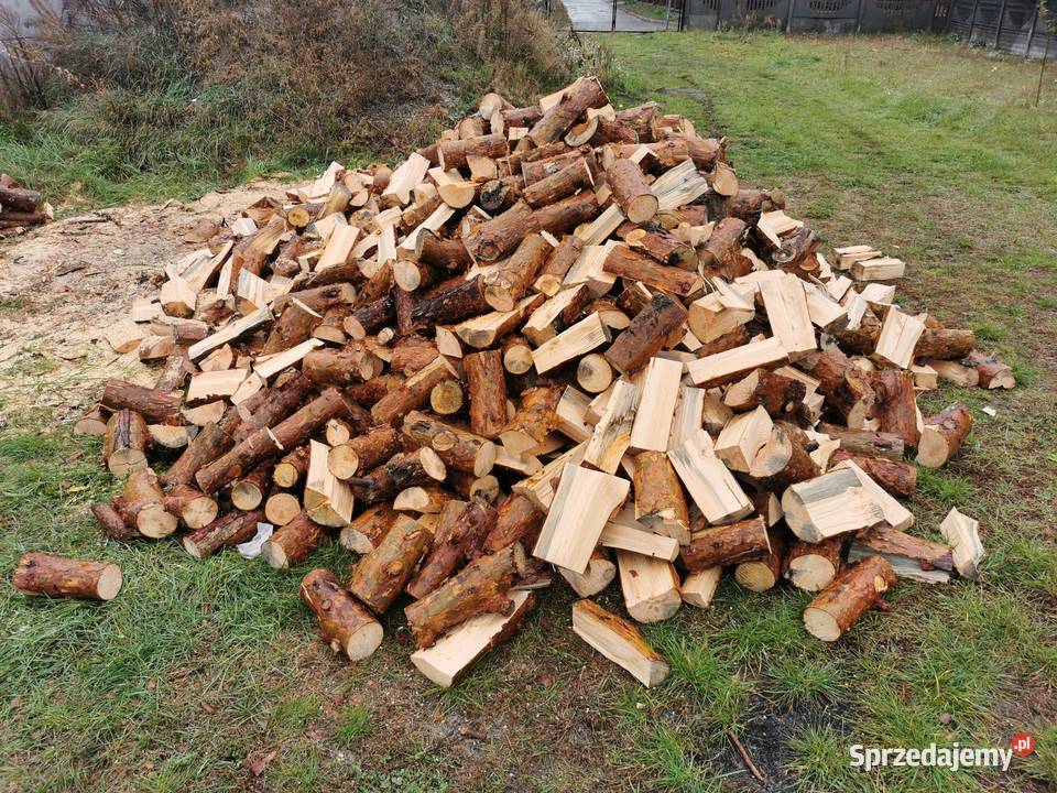Sprzedam drzewo na opał Sosna lubelskie Janów Lubelski
