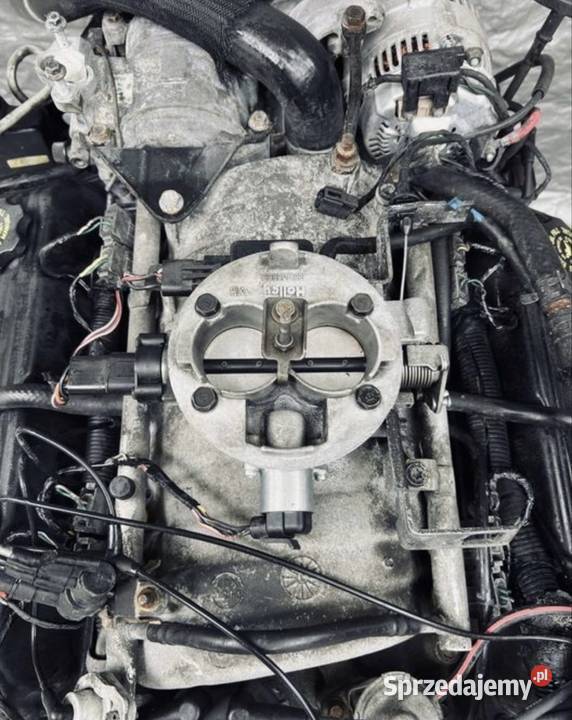 JEEP GRAND CHEROKEE ZJ 52 SILNIK BLOK GŁOWICA Silniki kompletne Starogard Gdański