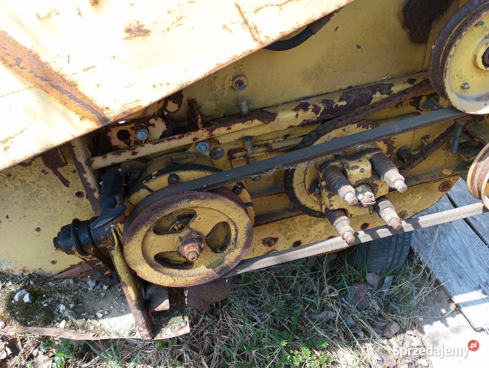 Cheder news Holland 1540 kosa 360 Żnin