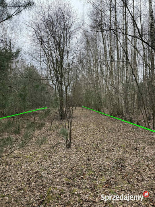 Działka inwestycyjna na sprzedaż Emilia Sprzedaż