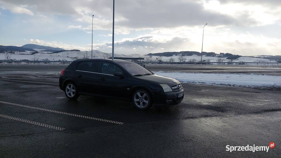 Opel signum 19cdti 150 6b Możliwa zamiana Leszno