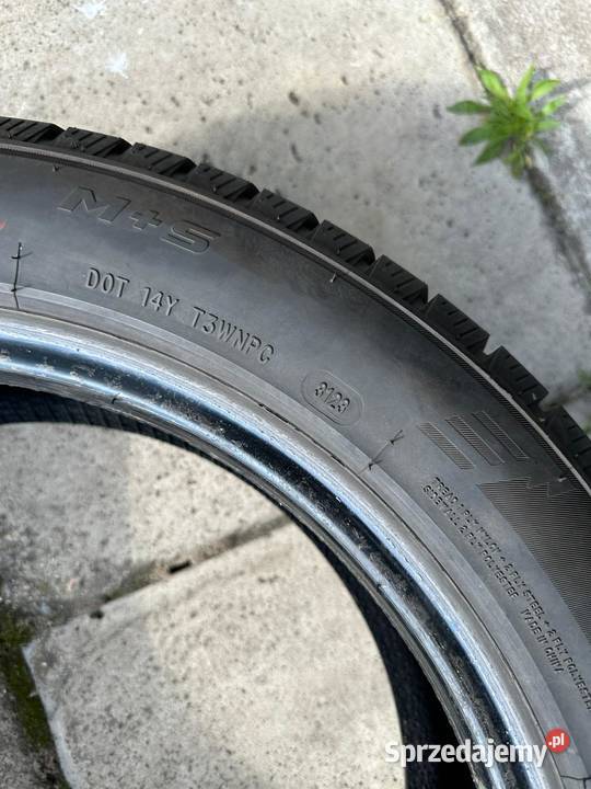 Opony zimowe SUV 2155518 z 2023r