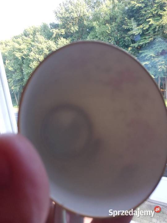 Porcelana sygnowana Schumann róże100 letnia Gorlice