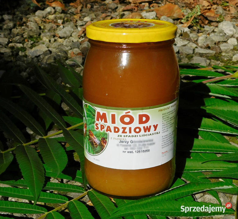 Polski prawdziwy miód spadziowy liściasty 2024 Kraków