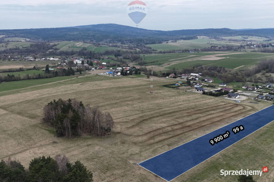 Działka 99a rolbud Smerekowiec Uście Gorlickie