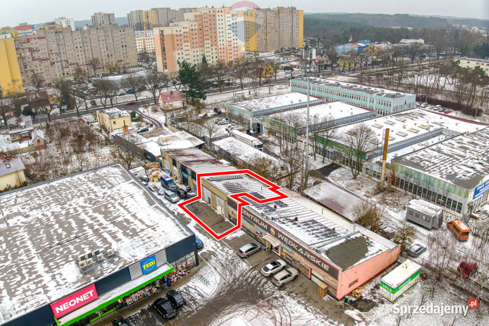 Do wynajęcia lokal usługowohandlowy Zielona Góra sprzedam