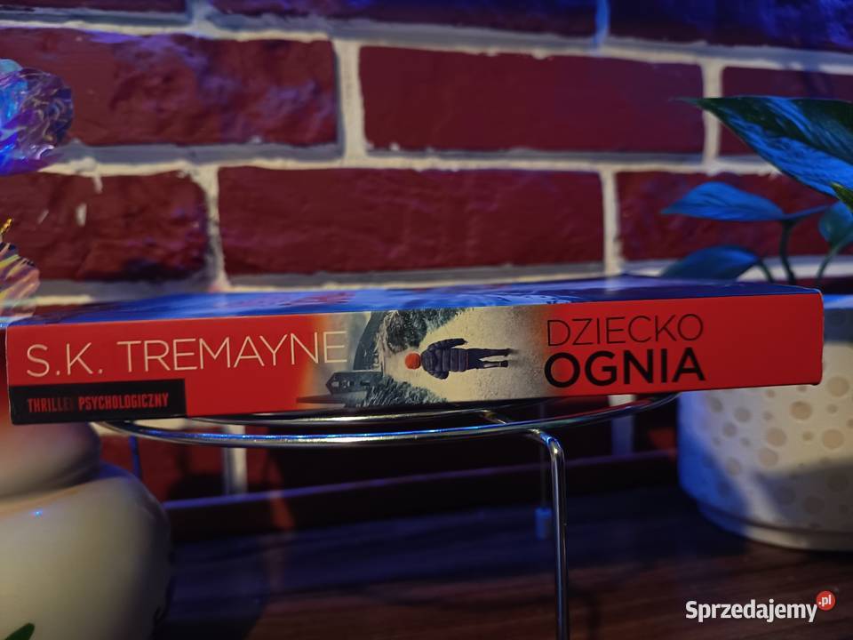 Dziecko Ognia Idealny mąż idealne dziecko Bydgoszcz