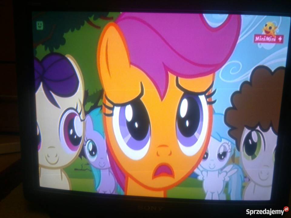 SONY TRINITRON 29X1K DUŻY TELEWIZOR W mazowieckie Warszawa sprzedam