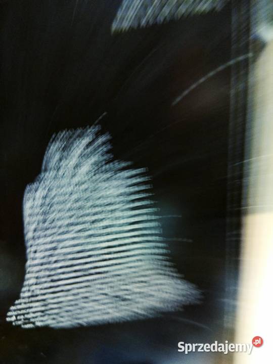 Florian z wielkiej głuszy Rodziewiczówna książki Warszawa