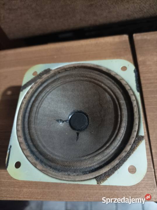 Philips AD 2400 W głośnik szerokopasmowy Płock