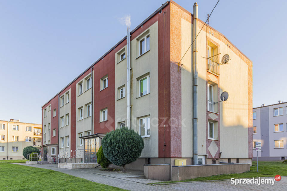 Ogłoszenie mieszkanie 297m2 1 pokój Gniewino wielka płyta