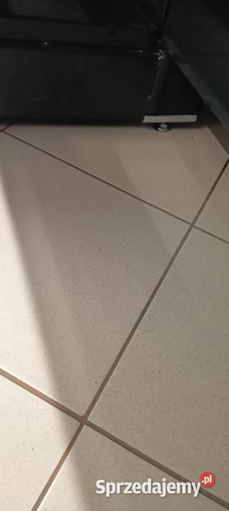 sprzątanie różnego rodzaju pomieszczeń Września