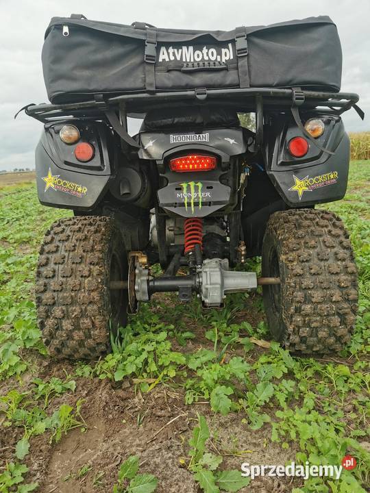 Duży Quad Aeon 300 z homologacja l7e Rok produkcji 2007 Aeon Rawicz sprzedam
