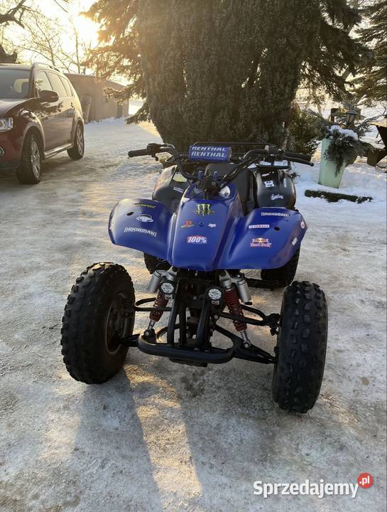 Quad 250 Rok produkcji 2018 pomorskie Rekowo