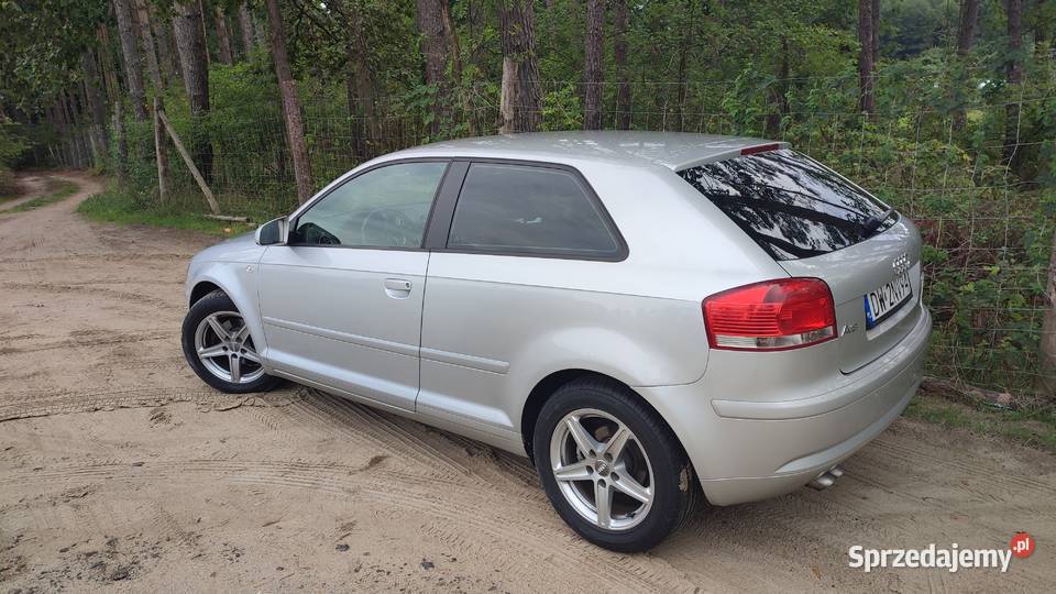AUDI A 3 8 P TGI 19