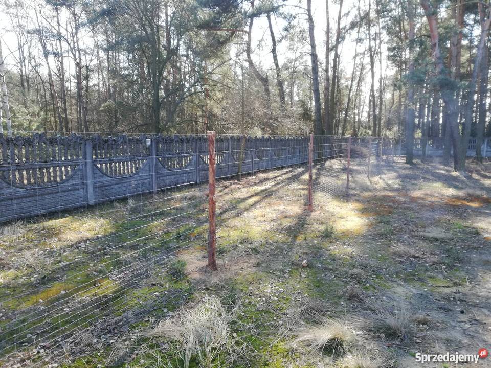 Budowa ogrodzenia Tymczasowe Siatka leśna wybieg Usługi ogrodnicze Łódź