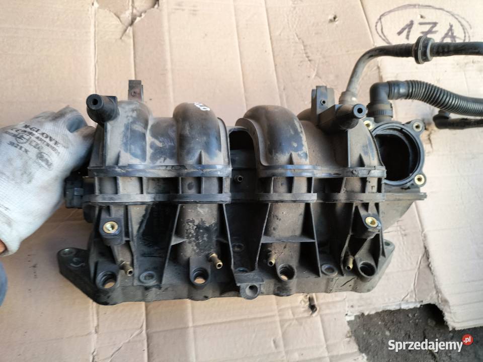 SEAT IBIZA 3 FABIA 1POLO 9N 14 16V 036129711DP Kamień-Kolonia