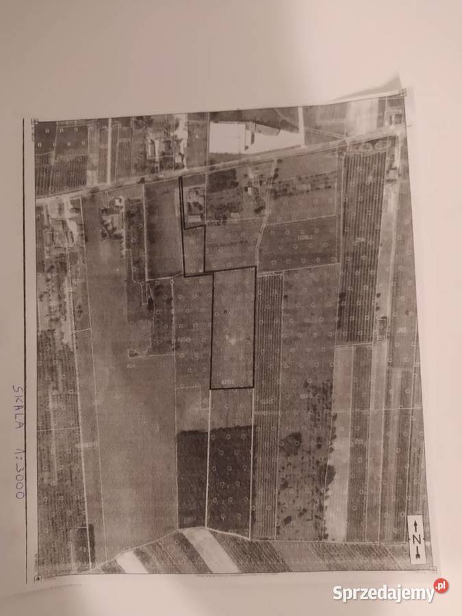 Działka Rolna z Siedliskiem Goszczyn powgrójecki