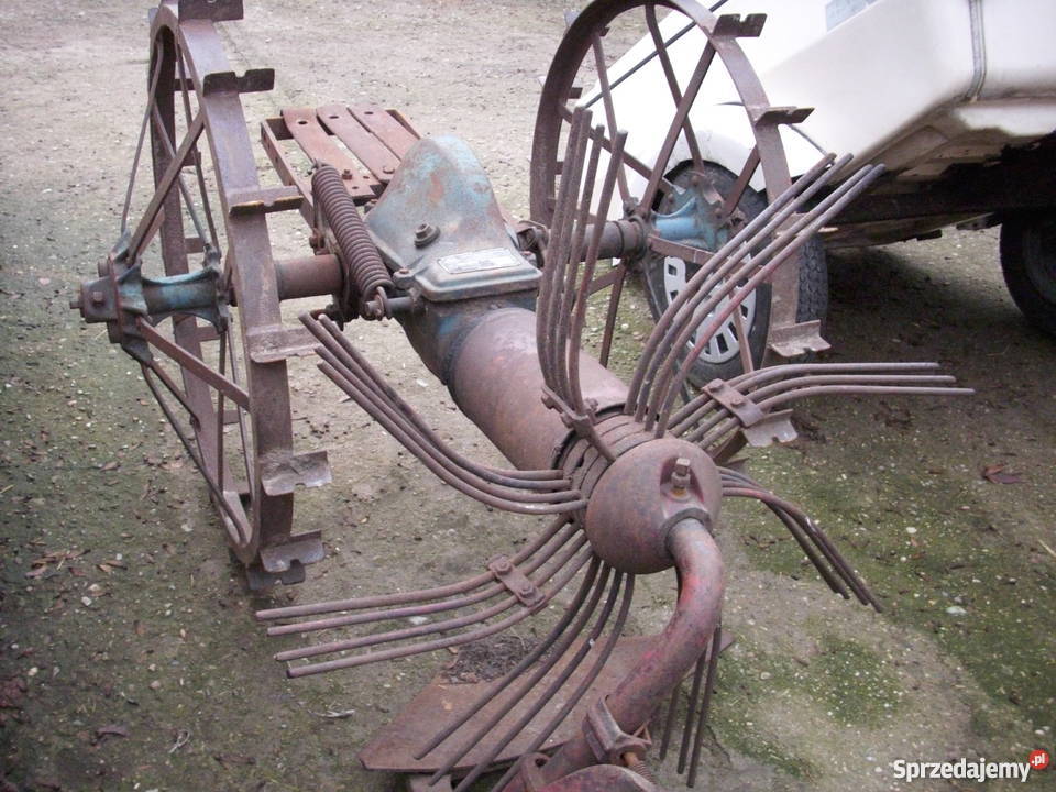 1963 Piękna ozdoba ogroduZabytkowa kopaczka zachodniopomorskie Barlinek