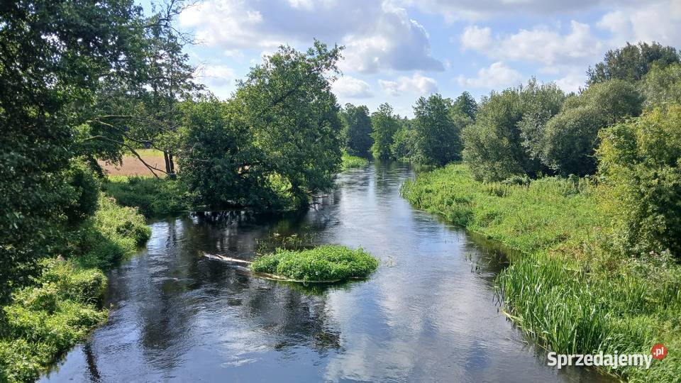 Sprzedam działkę 1000m2 Malużyn bezterm warunki 94zł/m2
