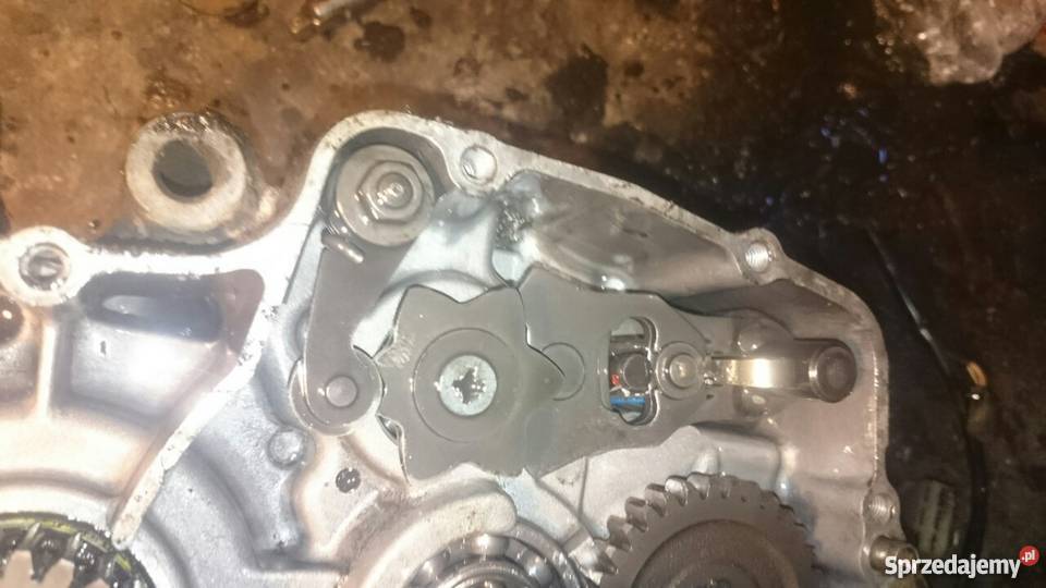 NA PRAWDĘ Kawasaki