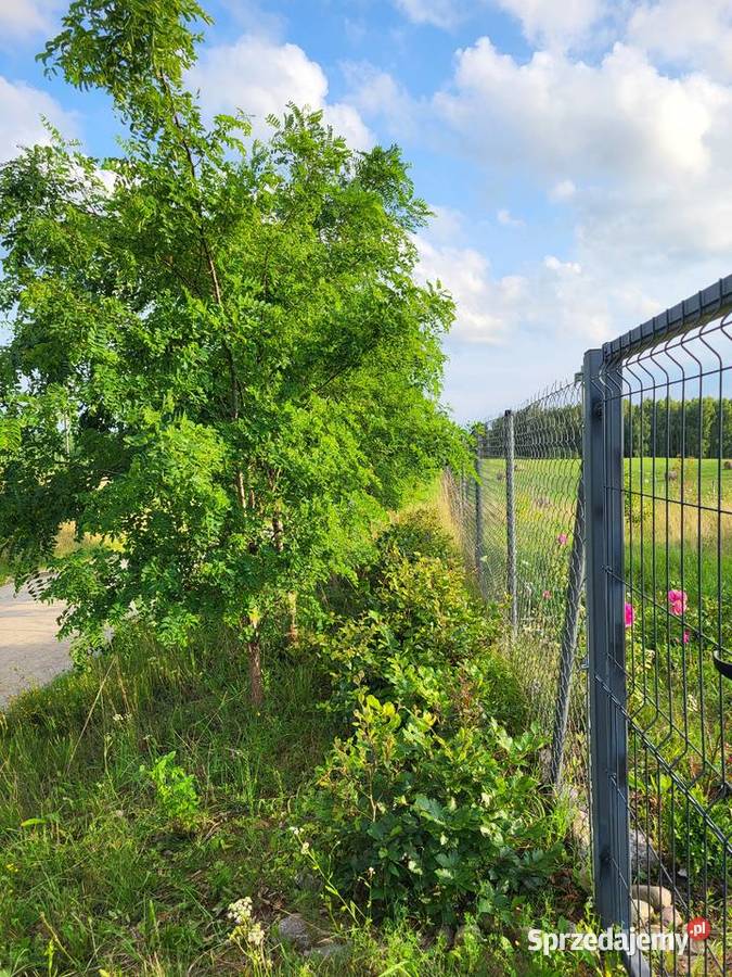 Działka z charakterem domek z duszą na Mazurach Elganowo sprzedam