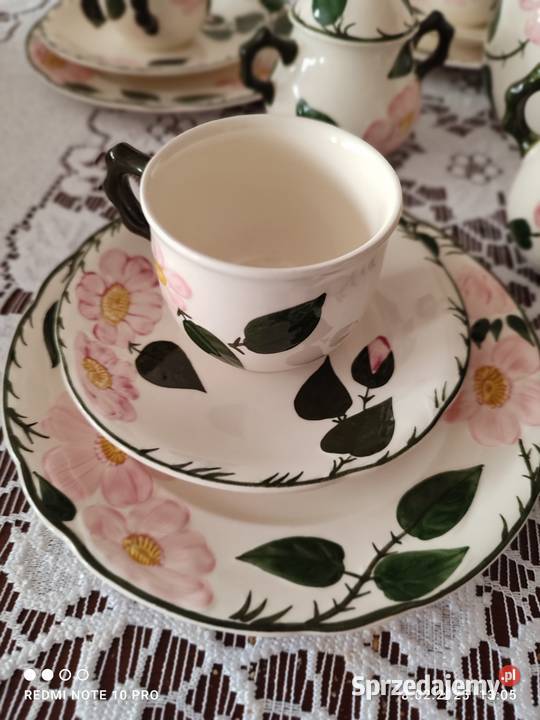 Wild Rose Willeroy Boch serwis na 6 osob