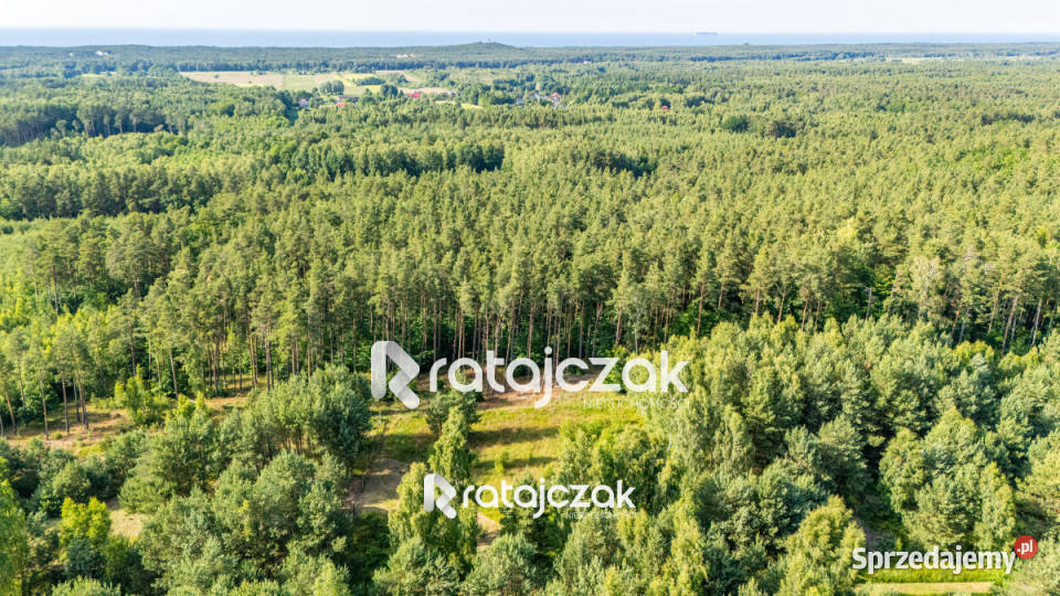 Działka 2164m2 Sasino Stara Cegielnia pomorskie sprzedam