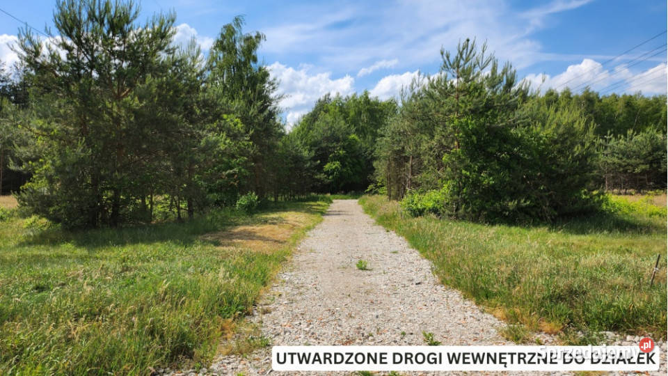 ZBOISKA KRADZIEJOWIC OSTATNIE DZIAŁKI BUDOWLANE 75zł/m2