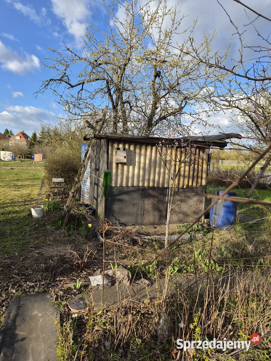 OGRÓDEK DZIAŁKOWY NA KLECINIE ROD PRZYJAŹŃ Wrocław