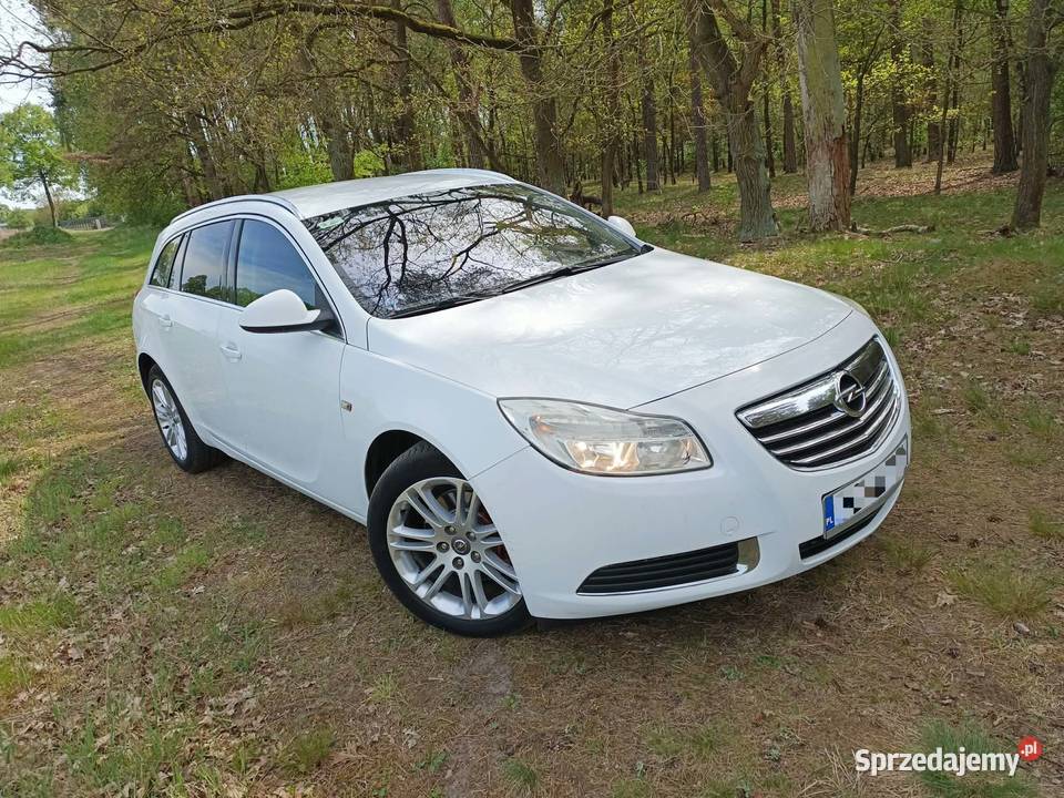 Opel Insignia stan wielkopolskie