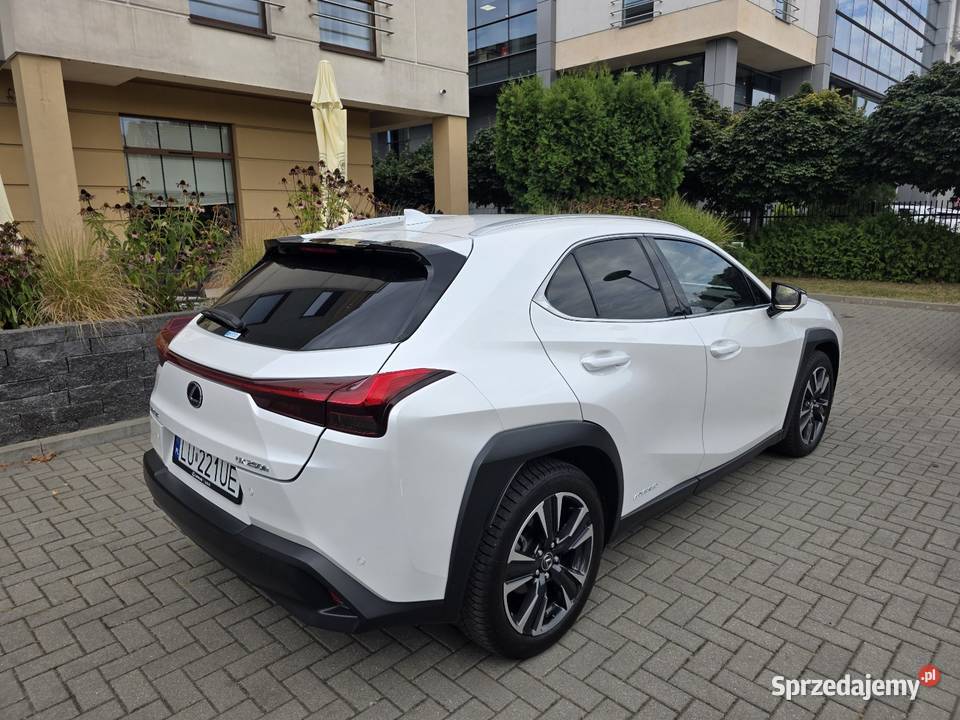 Lexus UX 250H Omotenashi Mark Levinson Już Lublin