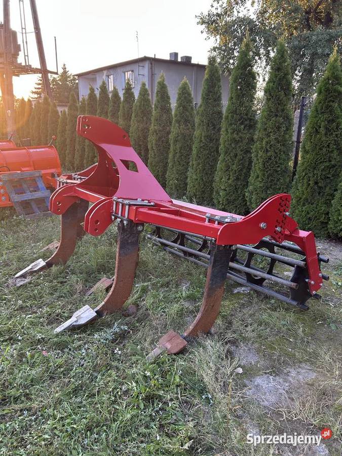 Głębosz 5 łap Wysoka